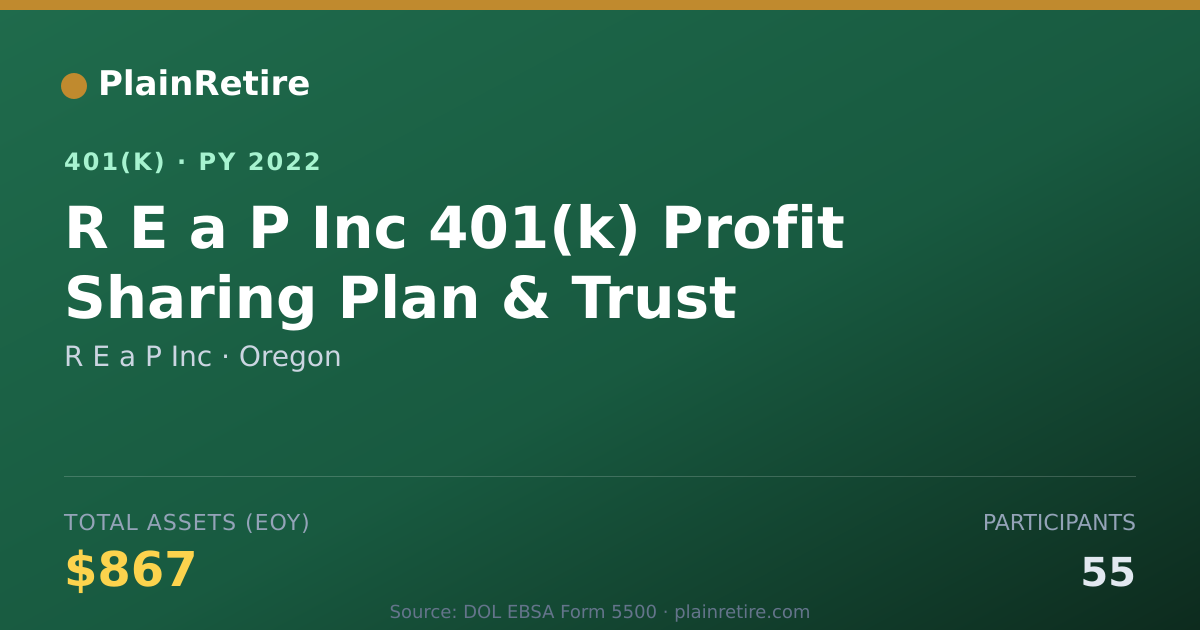 Shareable card for R E a P Inc 401(k) Plan (2022)