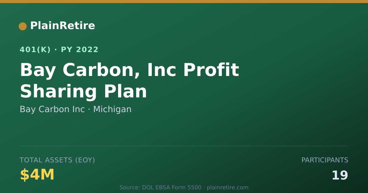 Shareable card for Bay Carbon Inc 401(k) Plan (2022)