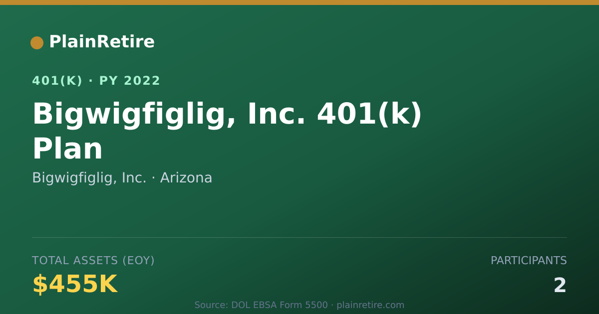 Shareable card for Bigwigfiglig, Inc. 401(k) Plan (2022)