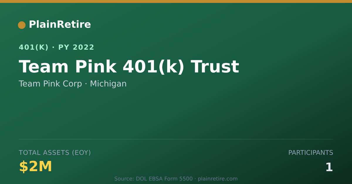 Shareable card for Team Pink Corp 401(k) Plan (2022)