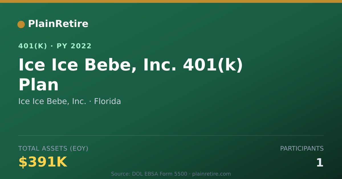 Shareable card for Ice Ice Bebe, Inc. 401(k) Plan (2022)