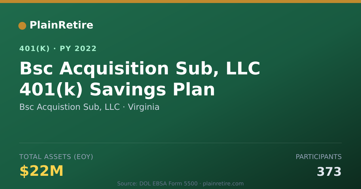Shareable card for Bsc Acquistion Sub, LLC 401(k) Plan (2022)