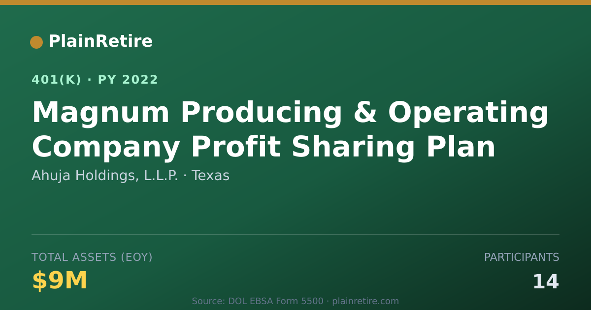 Shareable card for Ahuja Holdings, L.L.P. 401(k) Plan (2022)