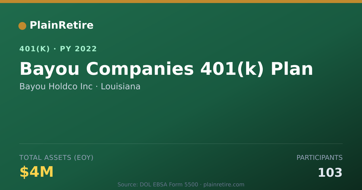 Shareable card for Bayou Holdco Inc 401(k) Plan (2022)