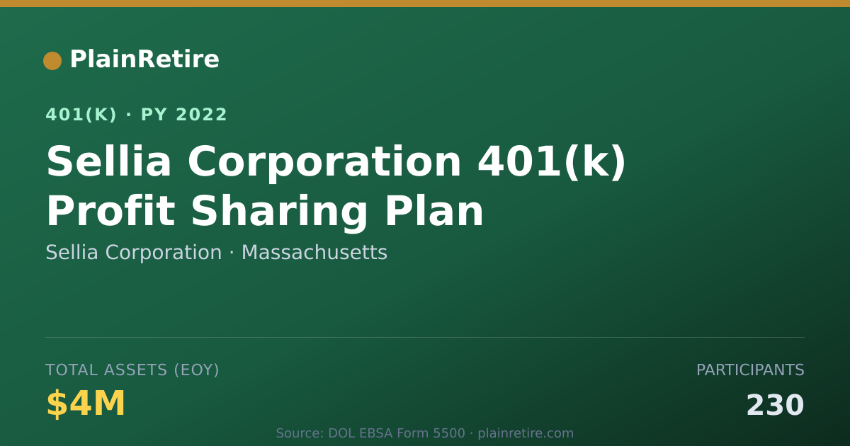 Shareable card for Sellia Corporation 401(k) Plan (2022)