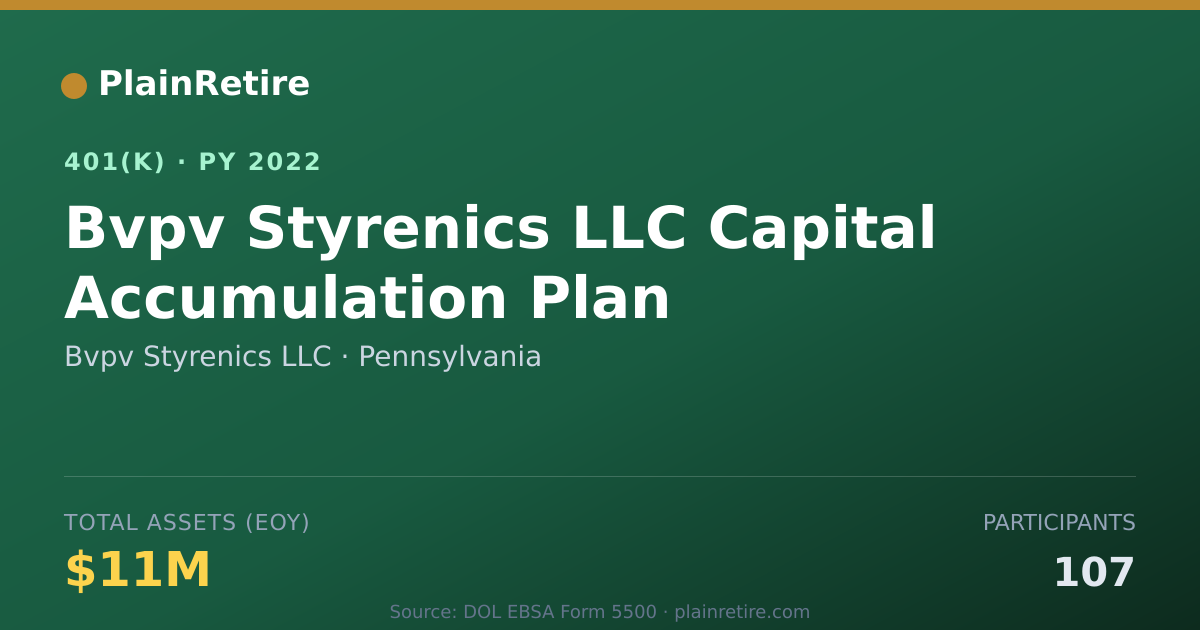Shareable card for Bvpv Styrenics LLC 401(k) Plan (2022)