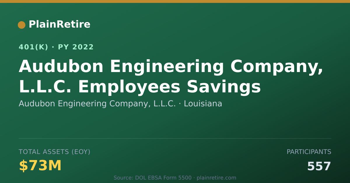 Shareable card for Audubon Engineering Company, L.L.C. 401(k) Plan (2022)