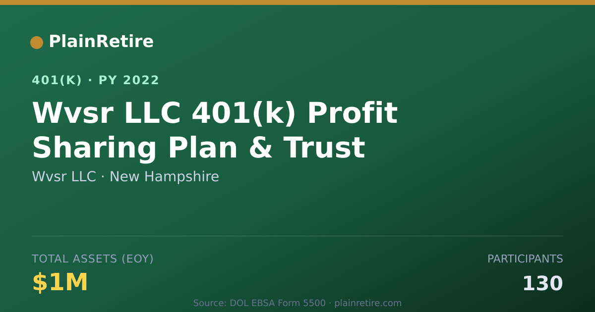 Shareable card for Wvsr LLC 401(k) Plan (2022)