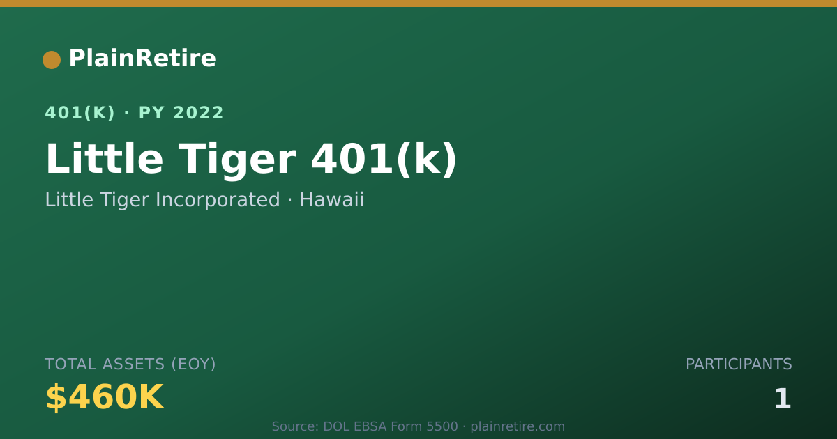 Shareable card for Little Tiger Incorporated 401(k) Plan (2022)