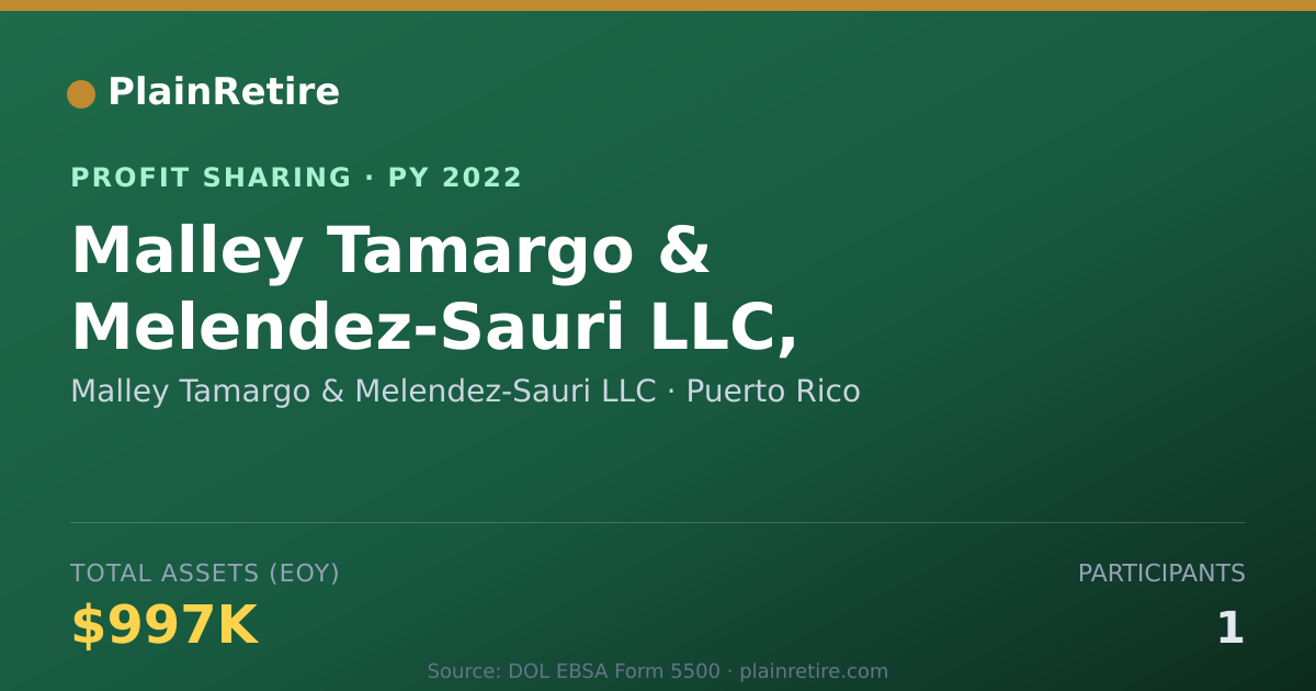 Shareable card for Malley Tamargo & Melendez-Sauri L Profit Sharing Plan (2022)