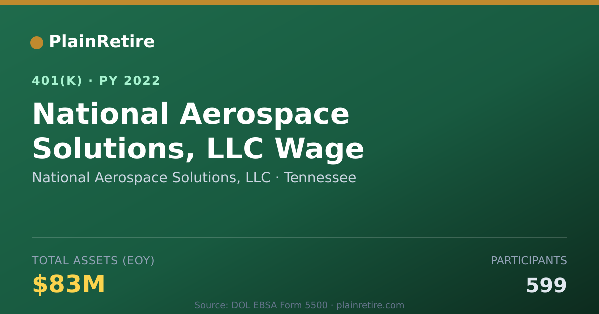 Shareable card for National Aerospace Solutions, LLC 401(k) Plan (2022)