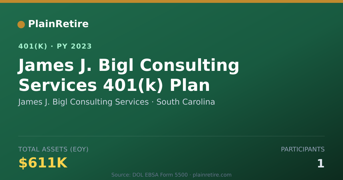 Shareable card for James J. Bigl Consulting Services 401(k) Plan (2023)
