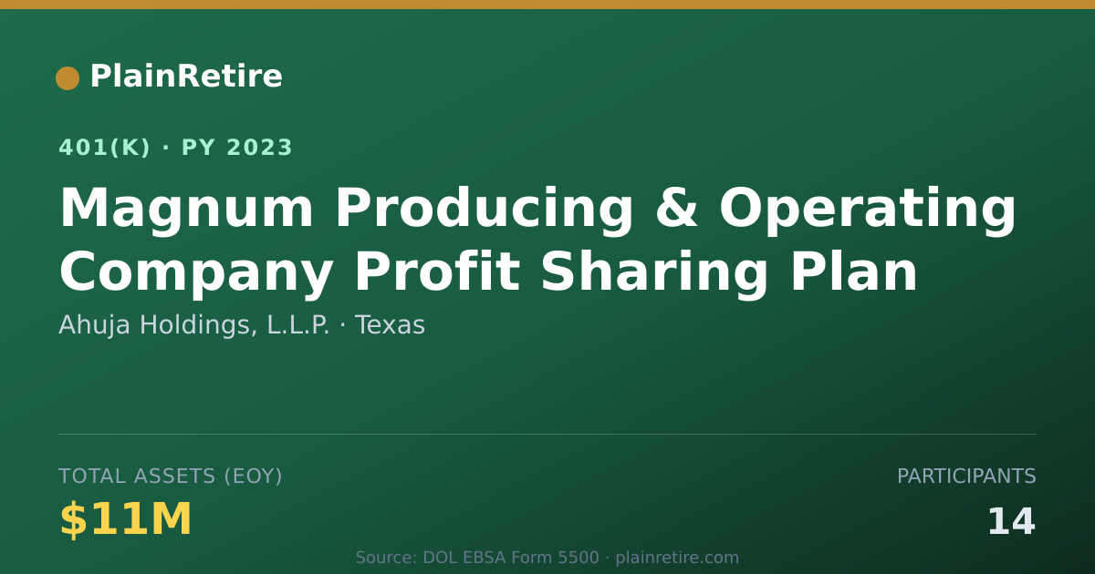 Shareable card for Ahuja Holdings, L.L.P. 401(k) Plan (2023)