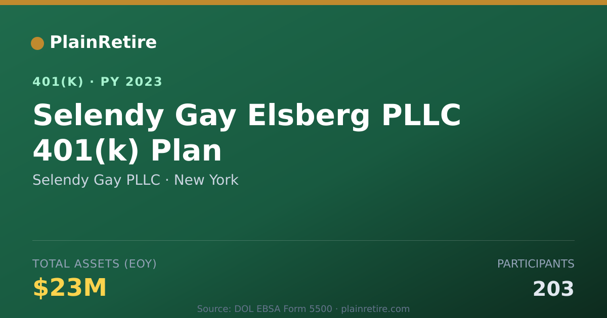 Shareable card for Selendy Gay PLLC 401(k) Plan (2023)