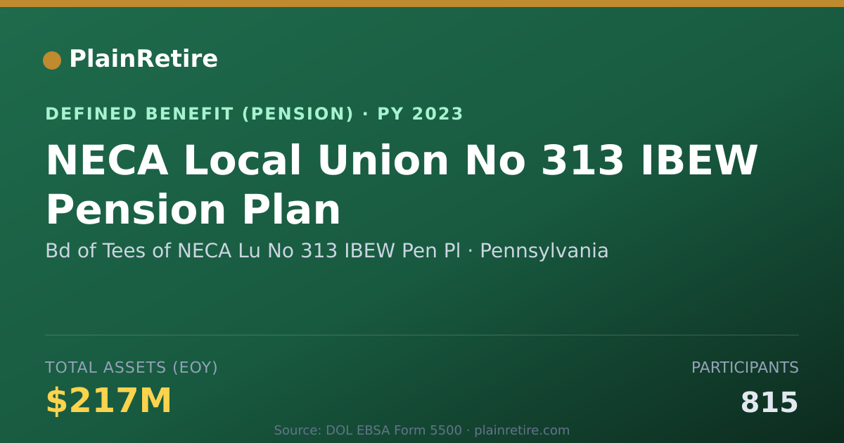Shareable card for Bd of Tees of NECA Lu No 313 IBEW Pen Pl Pension Plan (2023)