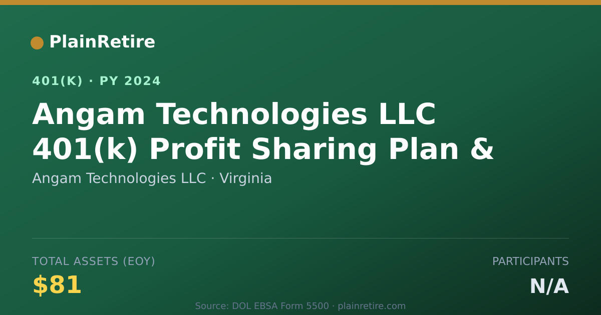 Shareable card for Angam Technologies LLC 401(k) Plan (2024)
