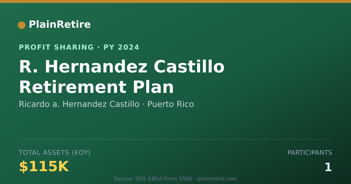 Shareable card for Ricardo a. Hernandez Castillo Profit Sharing Plan (2024)