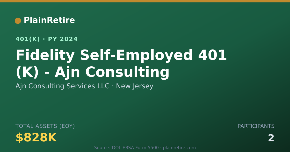 Shareable card for Ajn Consulting Services LLC 401(k) Plan (2024)