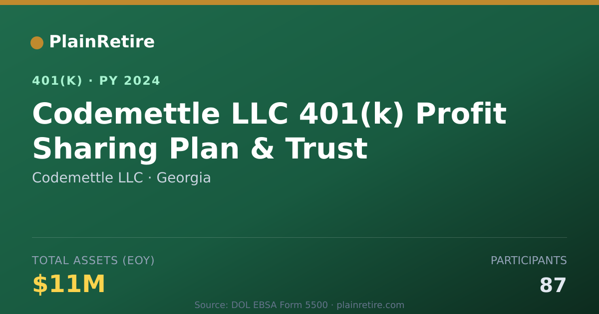 Shareable card for Codemettle LLC 401(k) Plan (2024)