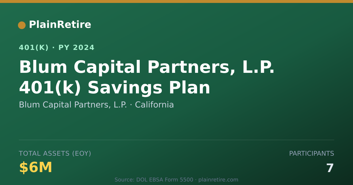 Shareable card for Blum Capital Partners, L.P. 401(k) Plan (2024)