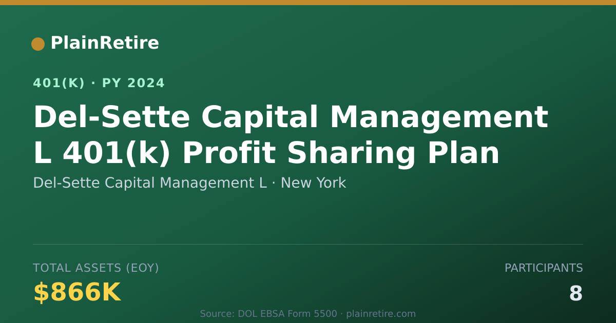 Shareable card for Del-Sette Capital Management L 401(k) Plan (2024)