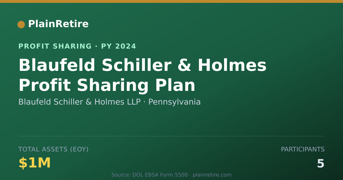 Shareable card for Blaufeld Schiller & Holmes LLP Profit Sharing Plan (2024)