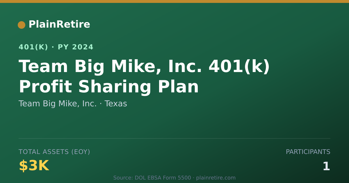 Shareable card for Team Big Mike, Inc. 401(k) Plan (2024)
