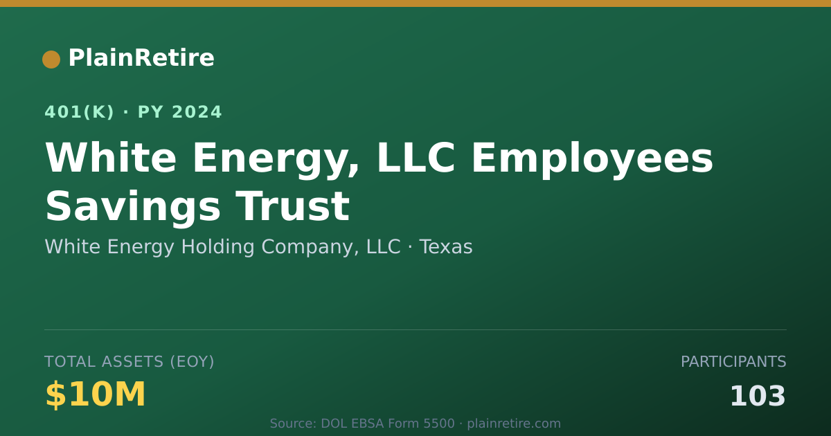 Shareable card for White Energy Holding Company, LLC 401(k) Plan (2024)