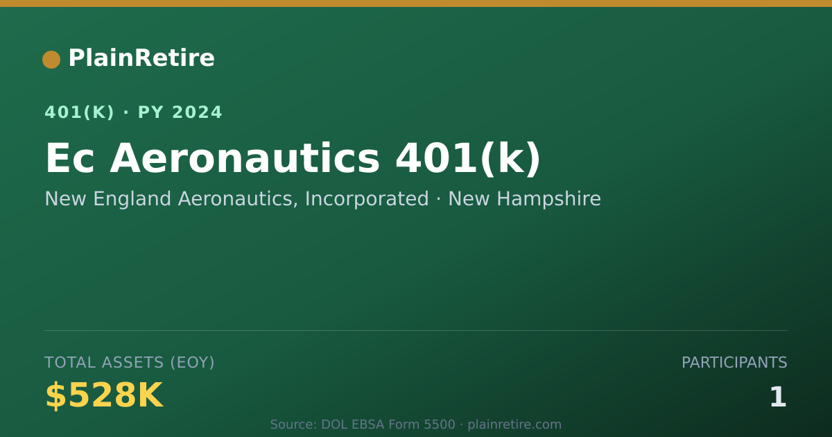 Shareable card for New England Aeronautics, Incorporated 401(k) Plan (2024)