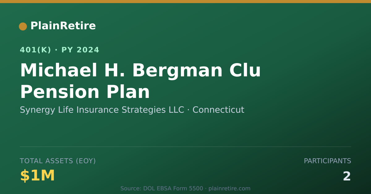 Shareable card for Synergy Life Insurance Strategies LLC 401(k) Plan (2024)