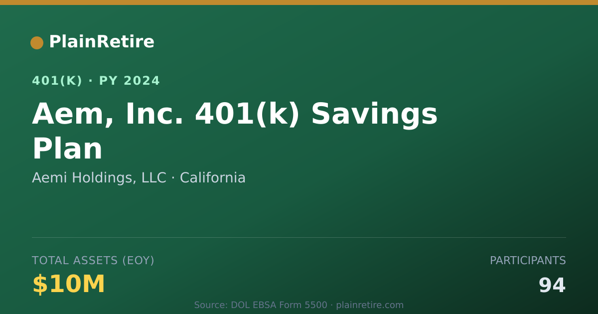 Shareable card for Aemi Holdings, LLC 401(k) Plan (2024)
