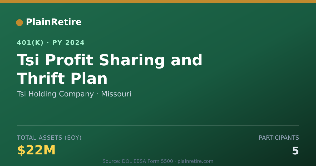 Shareable card for Tsi Holding Company 401(k) Plan (2024)