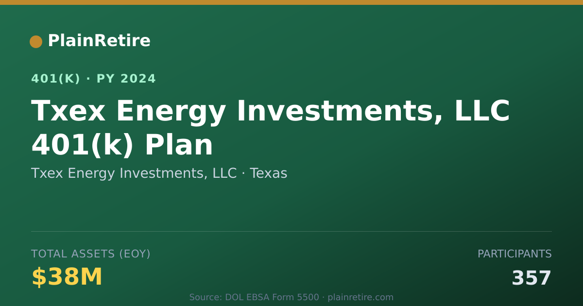 Shareable card for Txex Energy Investments, LLC 401(k) Plan (2024)