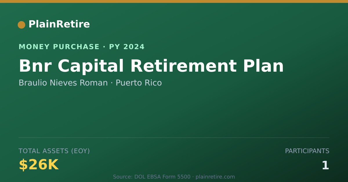 Shareable card for Braulio Nieves Roman Money Purchase Plan (2024)