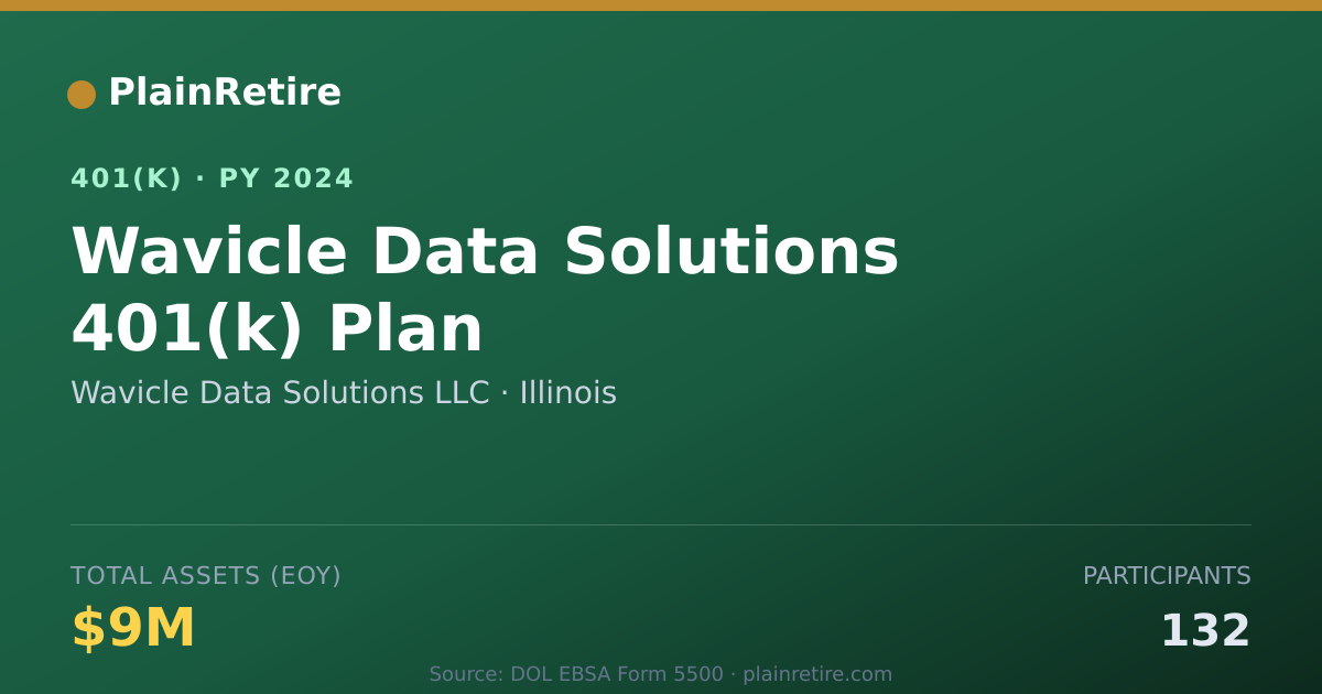 Shareable card for Wavicle Data Solutions LLC 401(k) Plan (2024)