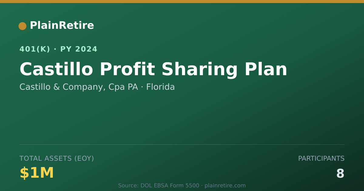 Shareable card for Castillo & Company, Cpa PA 401(k) Plan (2024)