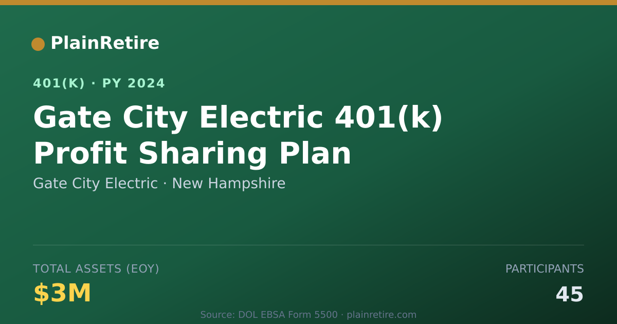 Shareable card for Gate City Electric 401(k) Plan (2024)