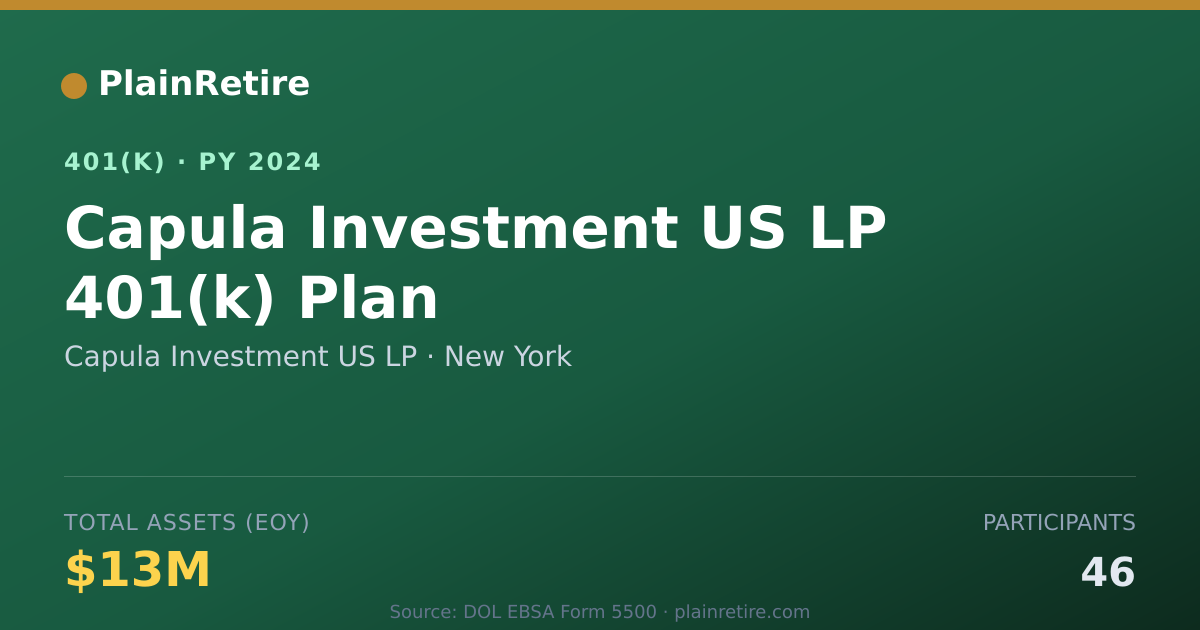 Shareable card for Capula Investment US LP 401(k) Plan (2024)