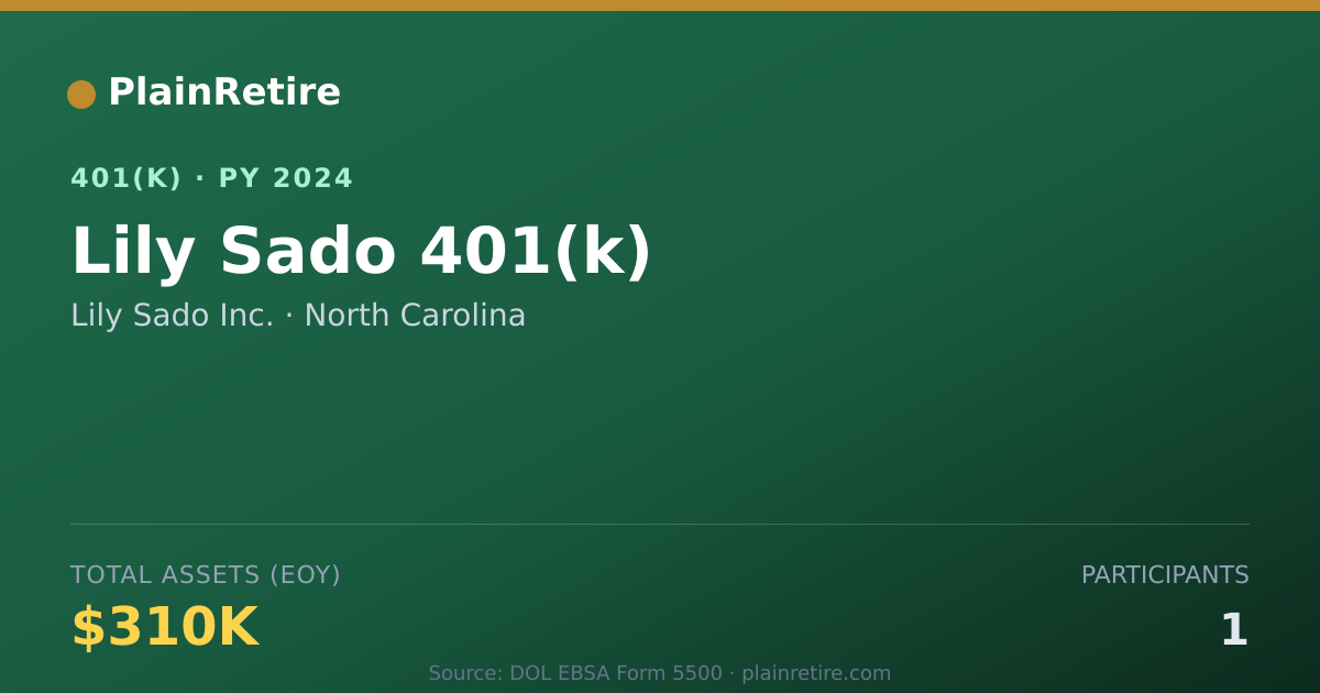 Shareable card for Lily Sado Inc. 401(k) Plan (2024)