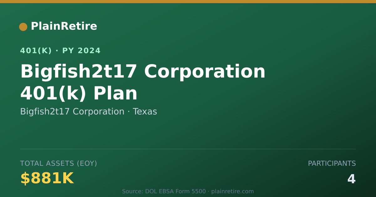 Shareable card for Bigfish2t17 Corporation 401(k) Plan (2024)