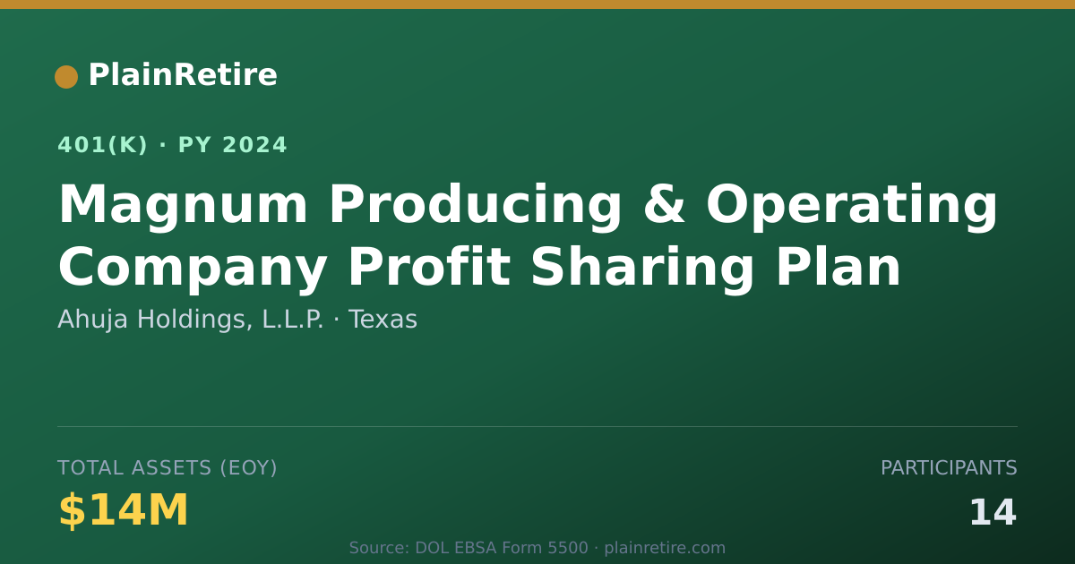 Shareable card for Ahuja Holdings, L.L.P. 401(k) Plan (2024)