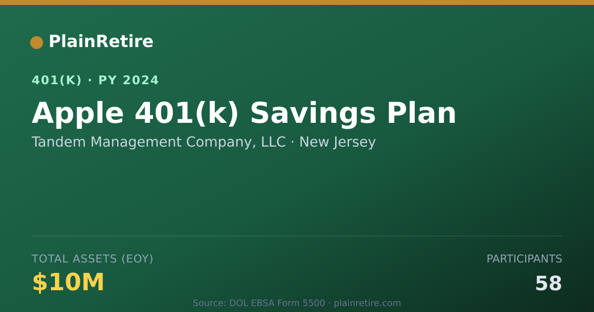 Shareable card for Tandem Management Company, LLC 401(k) Plan (2024)