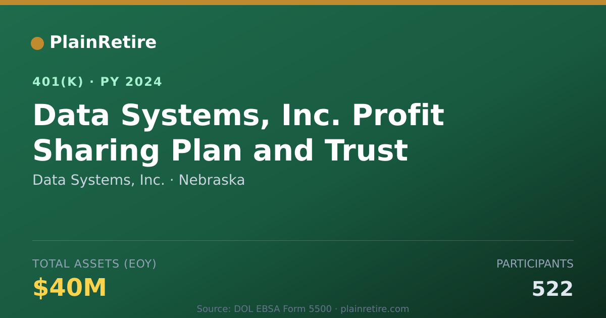 Shareable card for Data Systems, Inc. 401(k) Plan (2024)