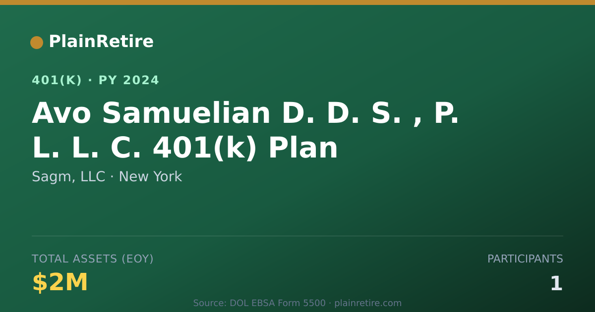 Shareable card for Sagm, LLC 401(k) Plan (2024)