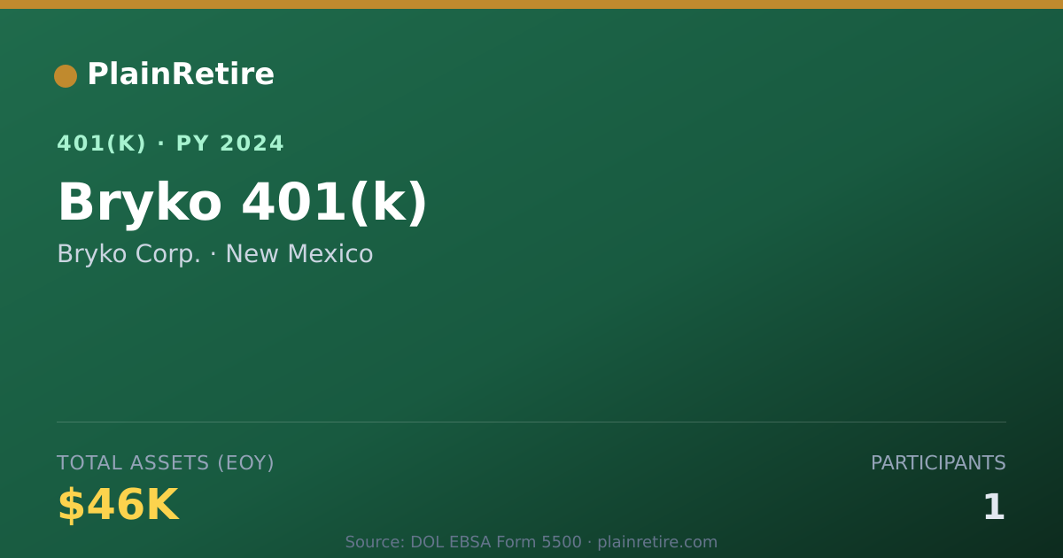Shareable card for Bryko Corp. 401(k) Plan (2024)