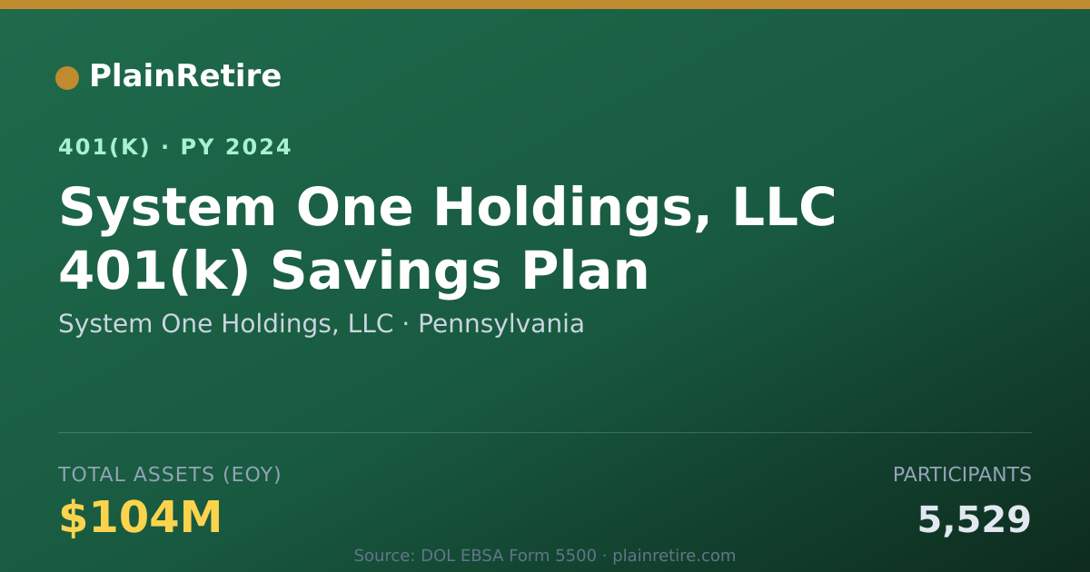 Shareable card for System One Holdings, LLC 401(k) Plan (2024)