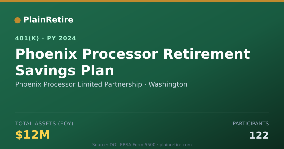 Shareable card for Phoenix Processor Limited Partnership 401(k) Plan (2024)