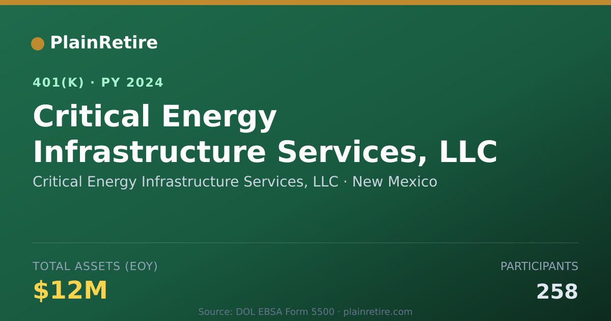 Shareable card for Critical Energy Infrastructure Services, 401(k) Plan (2024)
