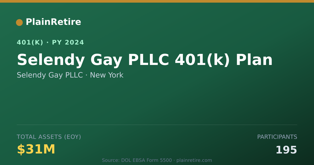 Shareable card for Selendy Gay PLLC 401(k) Plan (2024)