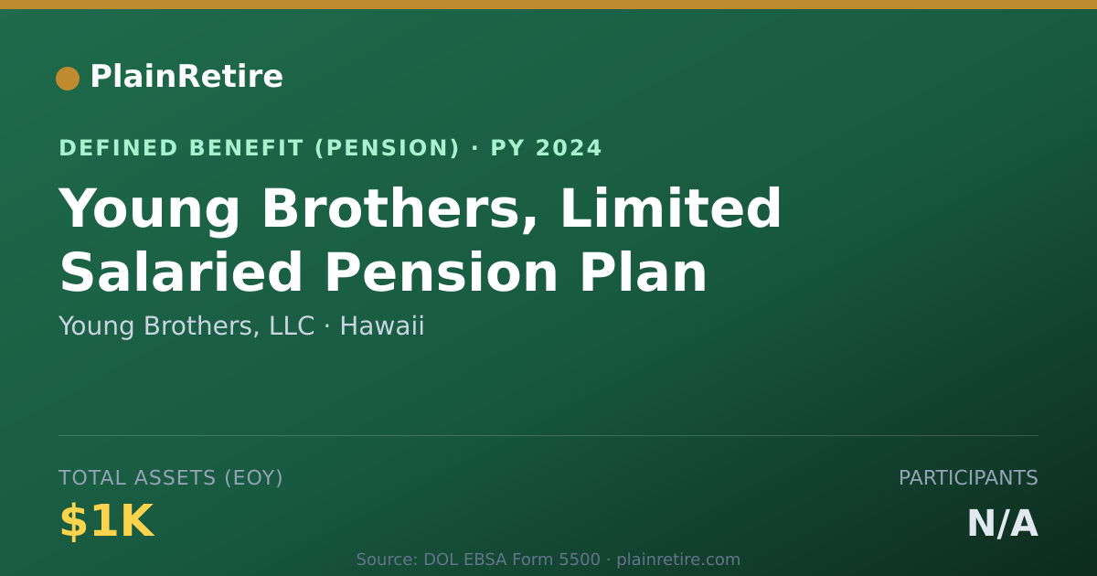 Shareable card for Young Brothers, LLC Pension Plan (2024)